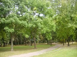 Park Centralny w Białymstoku